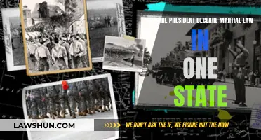 Martial Law: Can the President Impose It on a State?