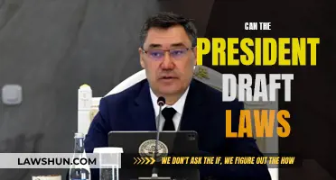 Who Drafts the Laws? Presidential Power Explained