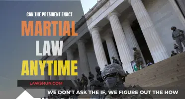 Martial Law: Presidential Power Play?