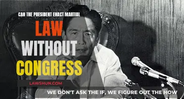 Martial Law: Presidential Power Play Without Congress?