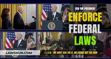 The President's Power: Enforcing Federal Laws