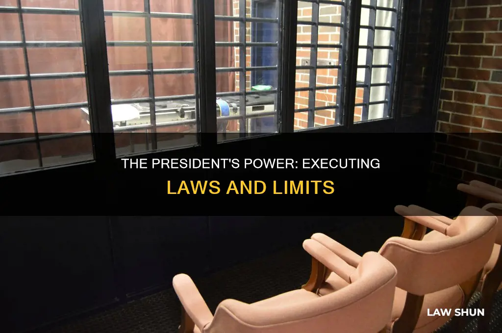 can the president execute laws