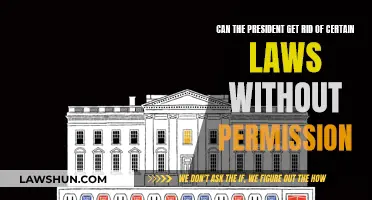 The President's Power: Can They Override Laws?