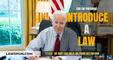 How the President's Powers Shape Lawmaking