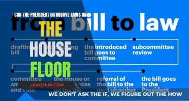 Who Can Introduce Laws? Presidential Limits Explained