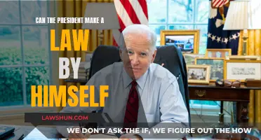Who Makes Laws? Presidential Limits Explained