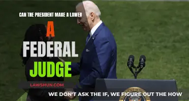 The President's Power: Lawyers to Federal Judges