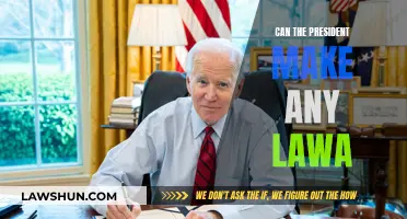 Who Makes the Laws? Presidential Power Explained