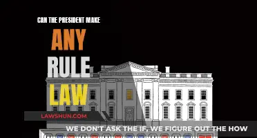 The President's Rule: Law-Making Power Explored