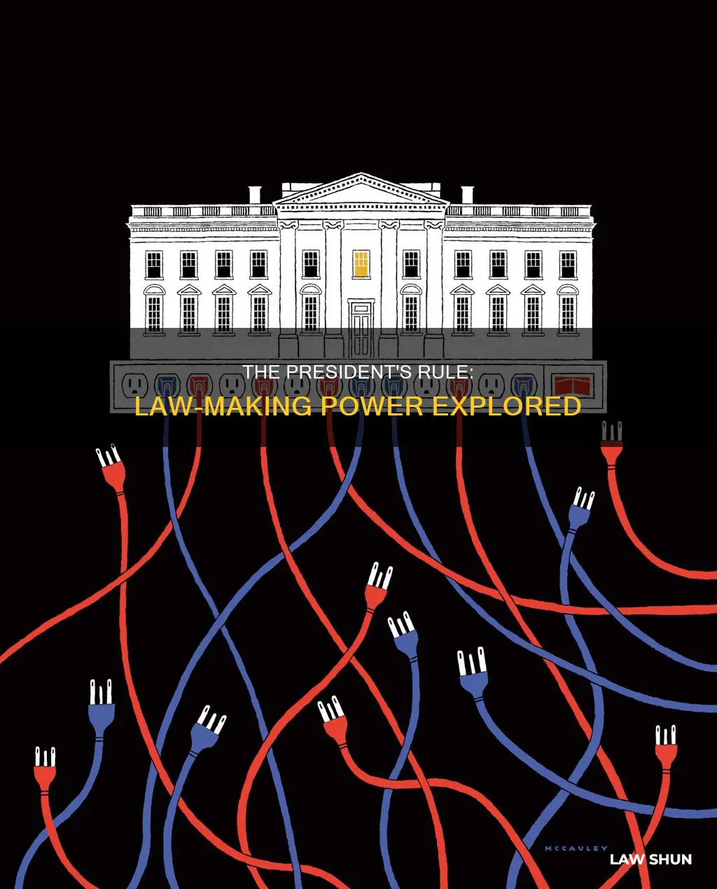 can the president make any rule law