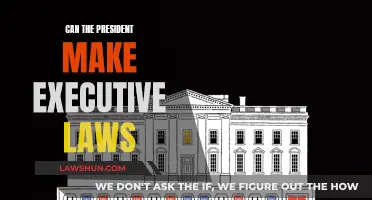 Executive Lawmaking: Presidential Powers Examined