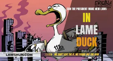 Presidential Power: Lawmaking in the Lame Duck Period
