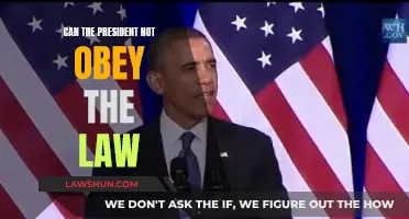 The President and Legal Immunity: A Complex Relationship