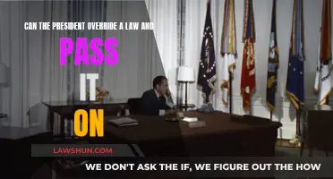 Presidential Power: Can They Override and Pass Laws?