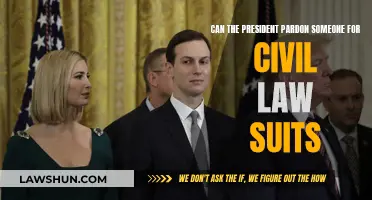 Presidential Pardons: Civil Lawsuits and Their Limits