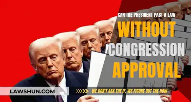 Executive Power: Laws Without Congress