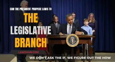 The President's Legislative Powers: Law Proposal Explained