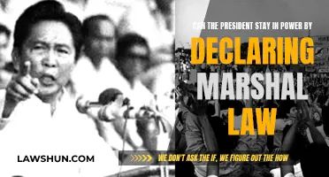 Martial Law: Can a President Seize Unlimited Power?
