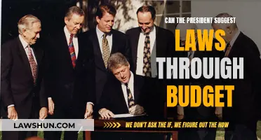 Executive Power: Budgeting for Laws