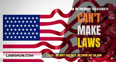 Who Truly Holds the Legislative Power?