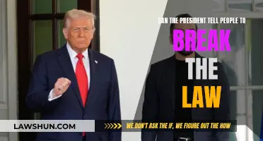 Executive Power: Can the President Encourage Law-Breaking?