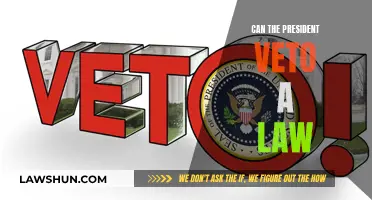 The President's Veto Power: Can They Stop Any Law?