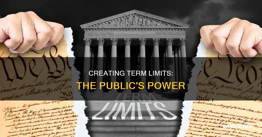can the public create a term limit law