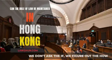 Hong Kong's Rule of Law: Upholding or Undermining?