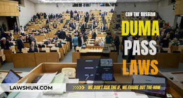 Understanding the Russian Duma's Law-Making Powers