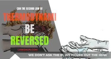 The Second Law of Thermodynamics: Can It Be Reversed?