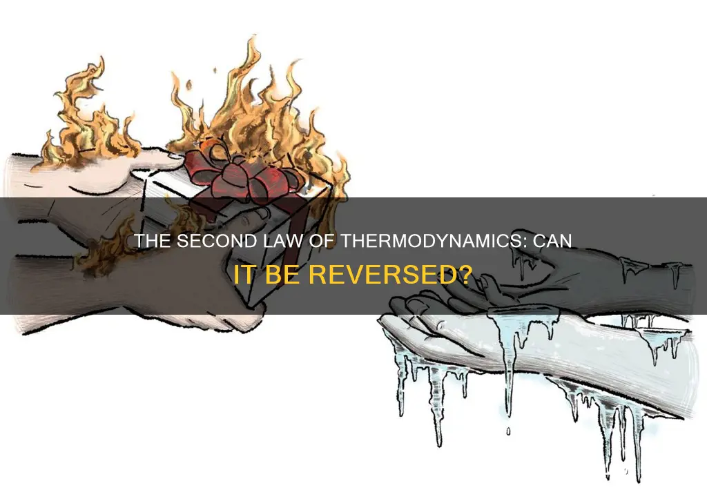can the second law of thermodynamics be reversed