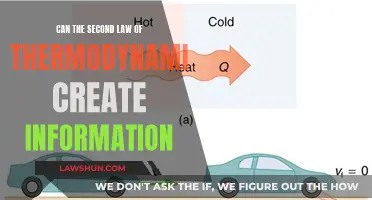 Entropy and Information: Thermodynamics' Creative Power?