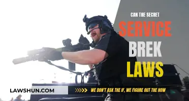 The Secret Service: Above or Below the Law?