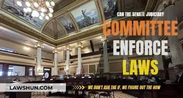 The Judiciary Committee: Law Enforcer or Observer?
