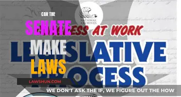 The Senate's Lawmaking Powers: Explained