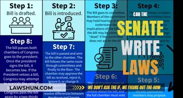 The Senate's Power to Write Laws