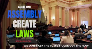 State Assembly's Power to Create Laws Explained