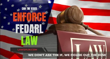 Who Enforces the Law? State vs Federal Power