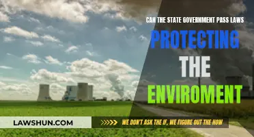 State Powers: Environmental Laws and Their Limits