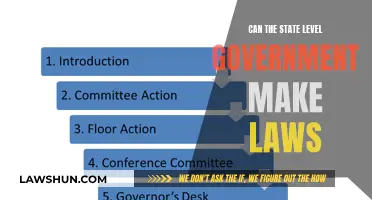 State-Level Lawmaking: Who Makes the Rules?