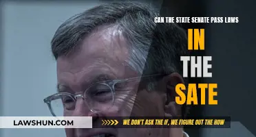 State Senate: Lawmakers or Law-abiders?