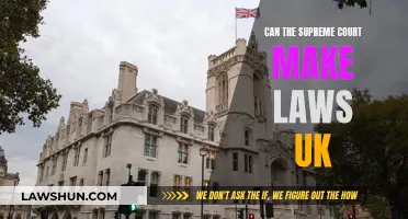 The Supreme Court's Law-Making Powers in the UK
