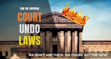 The Supreme Court: Lawmakers' Ultimate Undoing Power?