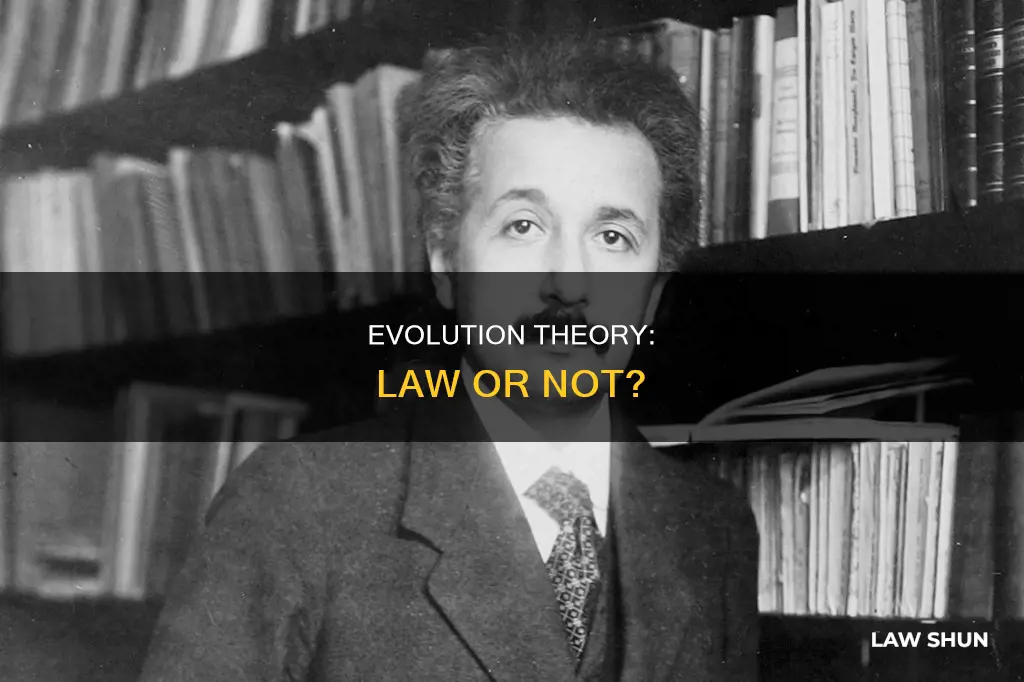 can the theory of evolution become a scientific law