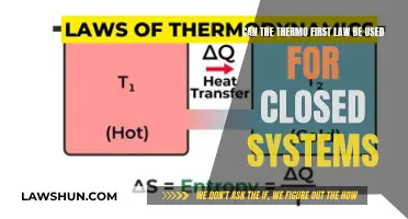 Thermo First Law: Closed Systems' Applicability Explored