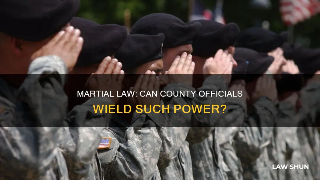 can the top official of a county declare martial law