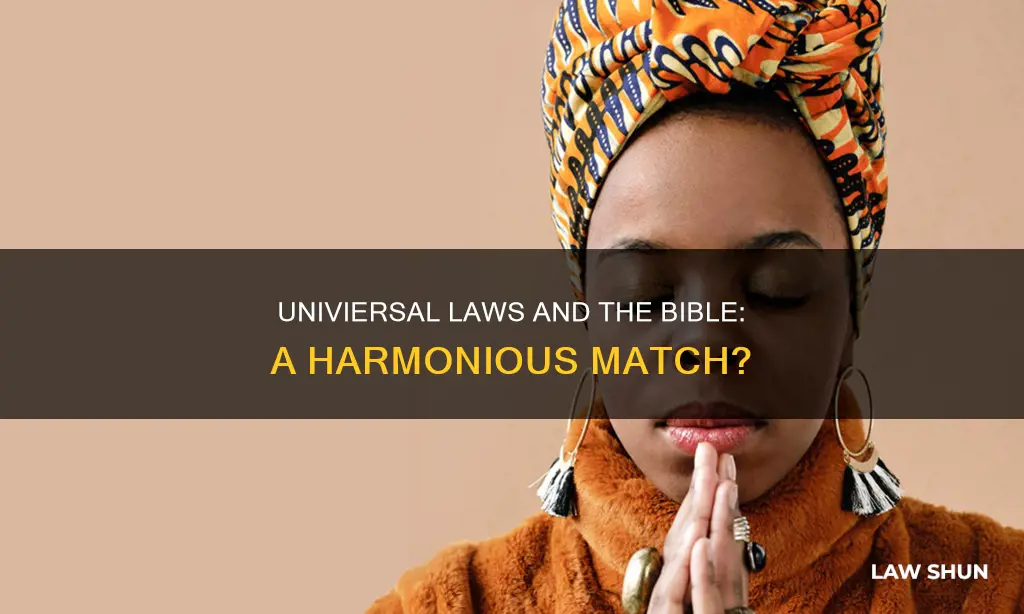 can the twelve univiersal laws be applied to the bible