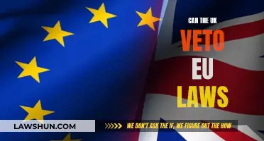 UK's Veto Power Over EU Laws: What's the Reality?