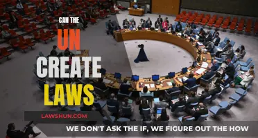 The UN's Law-Making Power: Explained