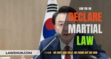 Martial Law: Can the UN Impose It?